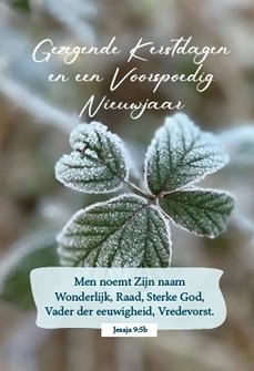 Minikaart 9153 kerst